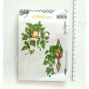 SA60611   CARABELLE STUDIO TAMPON CLING  PLANTES VERTS ET SUSPENSION  BY SYLVIE BELGRAND