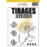 LORELAI DESIGN COLLECTION STAR TAMPONS TRANSPARENTS TIRAGES STUDIO