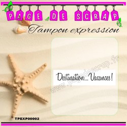 TPEXP00002  PDS  TAMPON EXPRESSION  DESTINATION VACANCES !