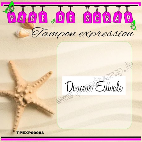 TPEXP00003  PDS  TAMPON EXPRESSION  DOUCEUR ESTIVALE