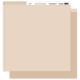 FDPUL224004   FLORILEGES DESIGN  PAPIER UNI DUO BEIGE DUNE