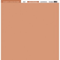 FDPUL224002   FLORILEGES DESIGN  PAPIER UNI DUO CITROUILLE