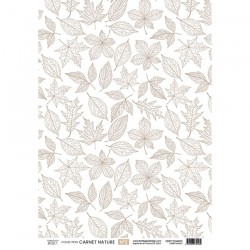 FDPC224002   FLORILEGES DESIGN CARNET NATURE PAPIER CALQUE 2   A4