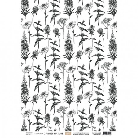 FDPC224001   FLORILEGES DESIGN CARNET NATURE PAPIER CALQUE 1   A4